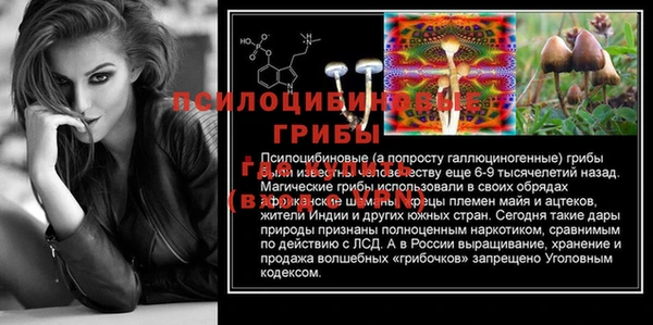 дживик Алексин
