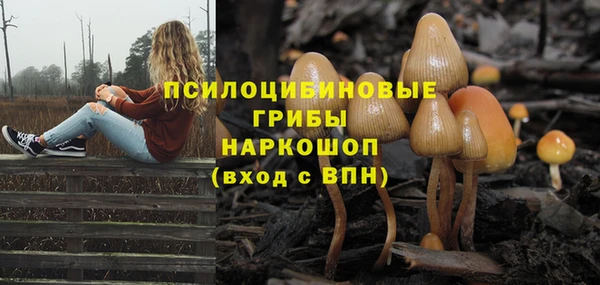 дживик Алексин