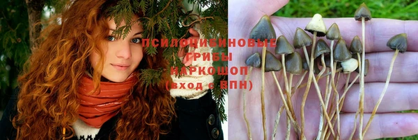 дживик Алексин
