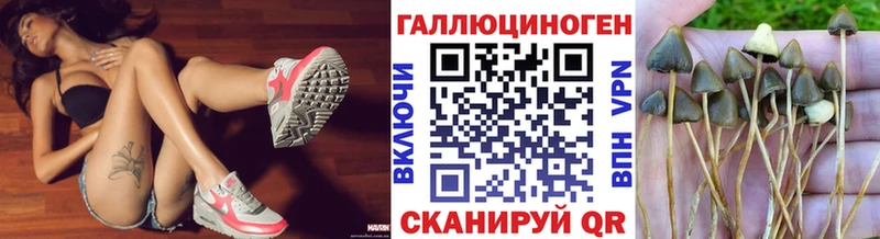 как найти наркотики MEGA зеркало Галлюциногенные грибы GOLDEN TEACHER Фролово